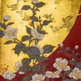 Cherry Blossoms