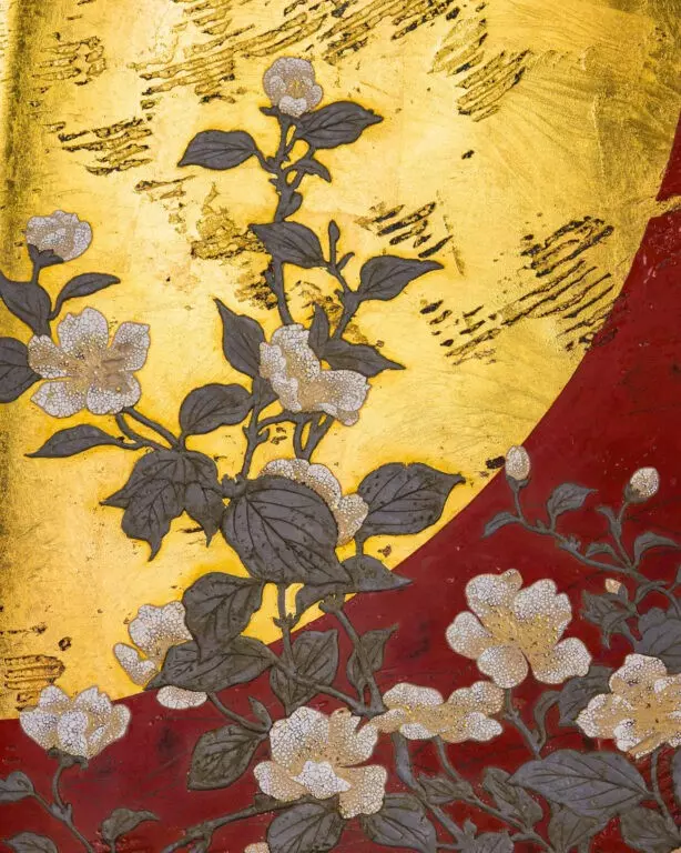 Cherry Blossoms