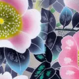 Toki Hata Music of Spring (from “Celebrating 400 Years of Rimpa”)