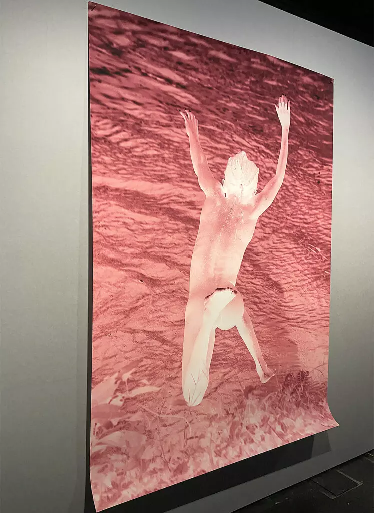 KYOTOGRAPHIE 2024 Program 05 Viviane Sassen "PHOSPHOR: Art & Fashion 1990-2023"