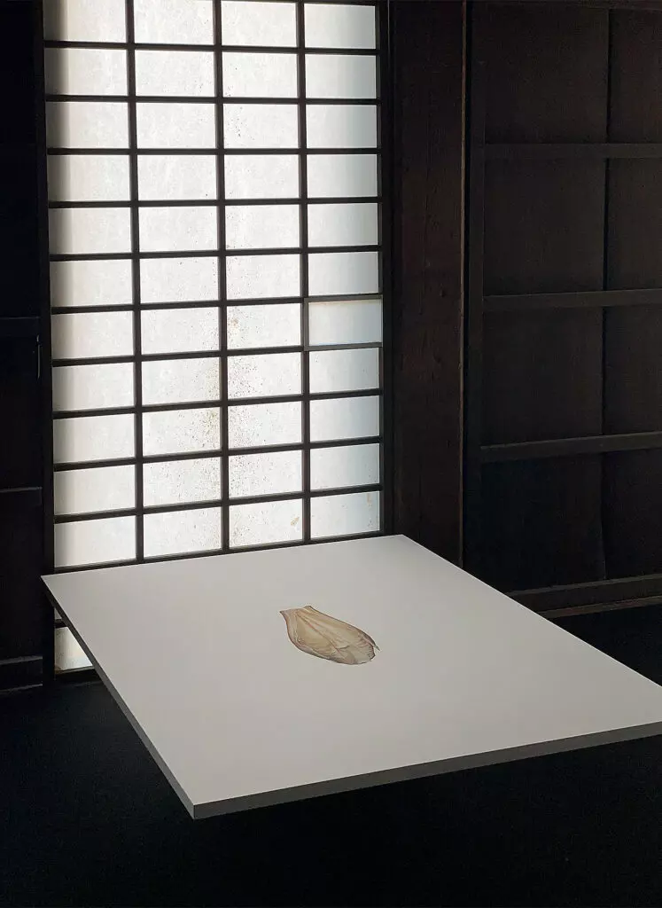 KYOTOGRAPHIE 2024 Program 06 Thierry Ardouin "Seed Stories"