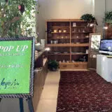 POPUP Event Information June 2024