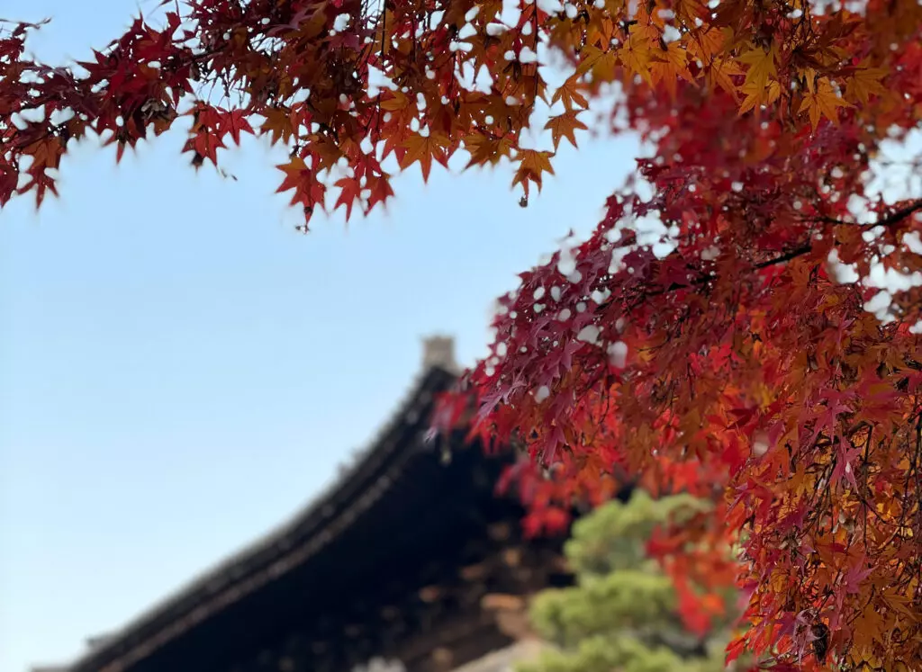 Kyoto autumn image
