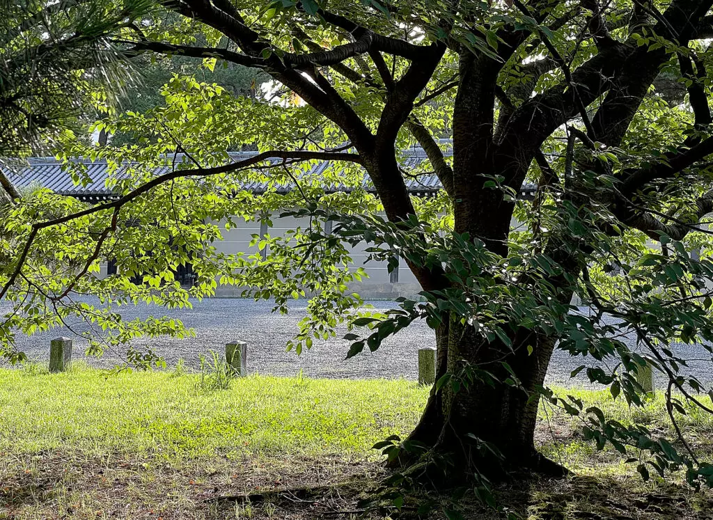 Kyoto summer image