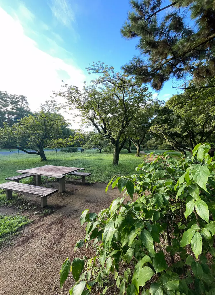 Summer: Park in the Kyoto Gyoen