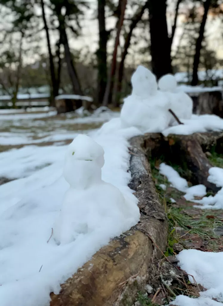 Winter: Snowmen in the Kyoto Gyoen