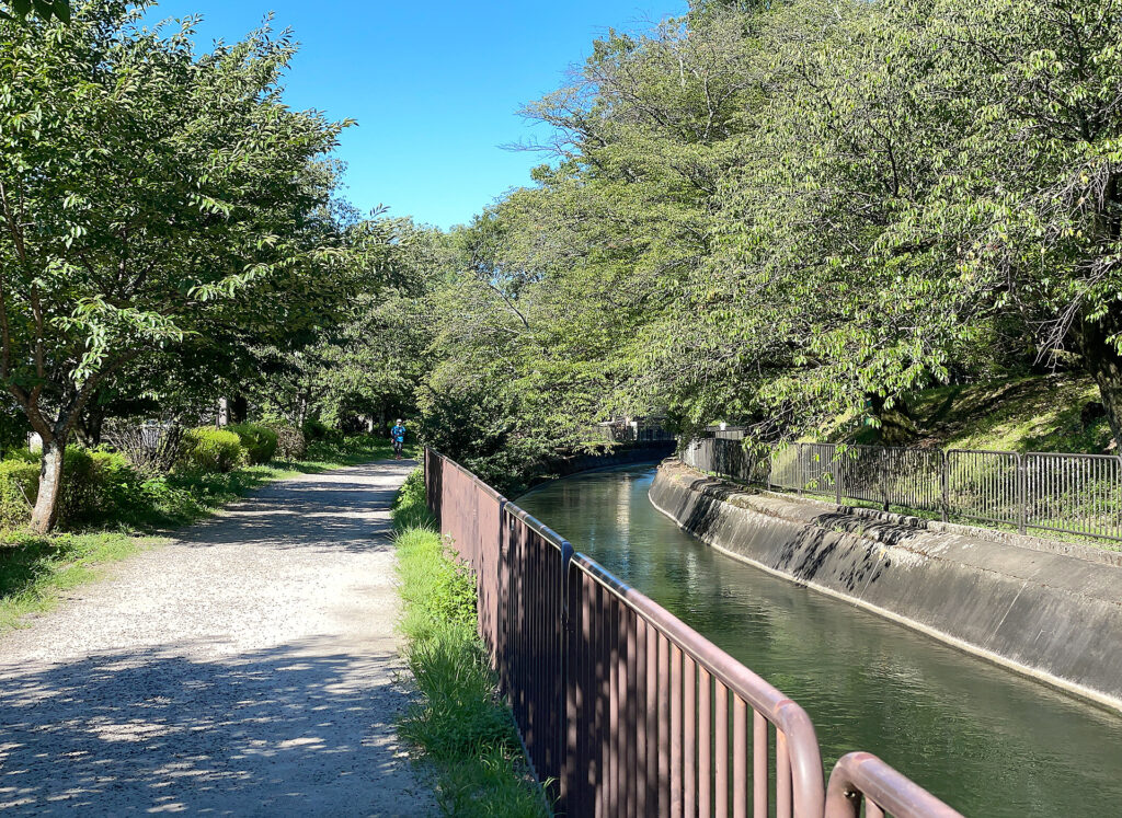 Lake Biwa Canal Pathside Views