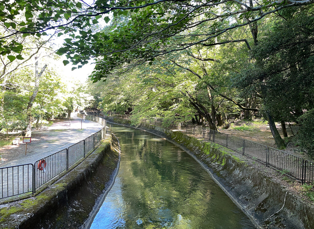Lake Biwa Canal Pathside Views
