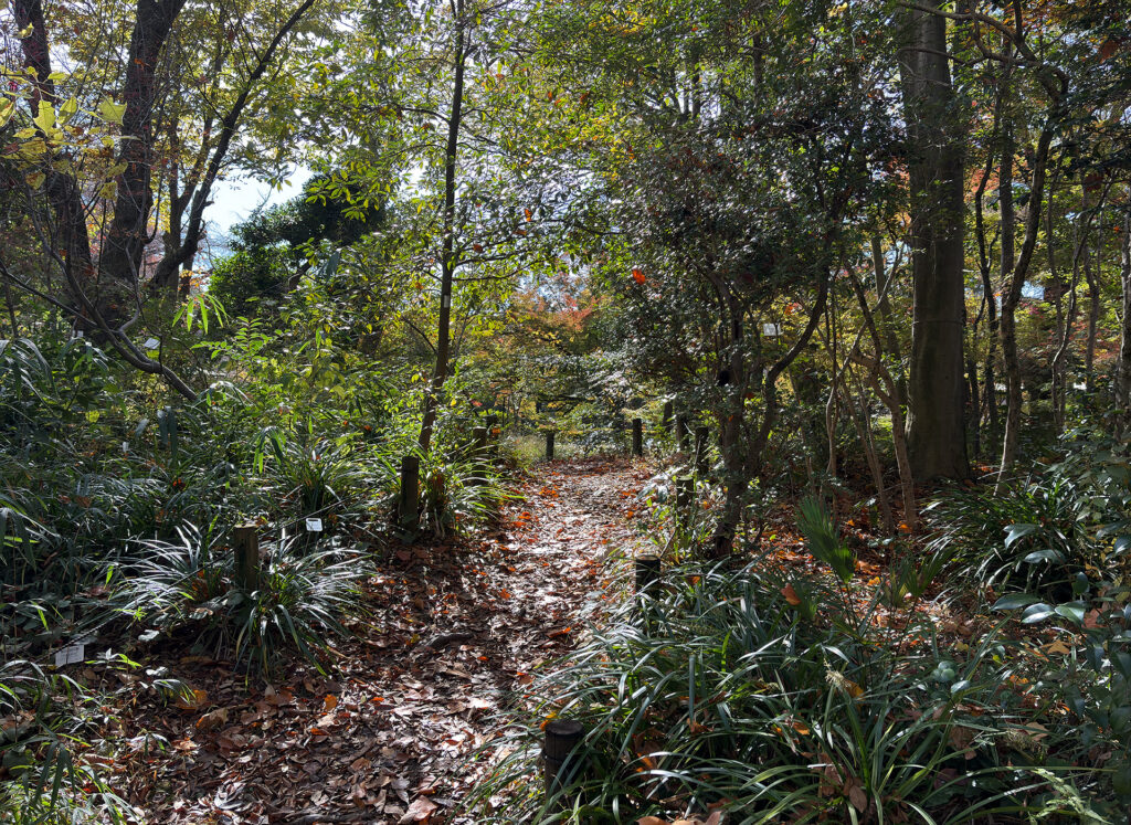 Walking paths within the Plant Ecological Garden