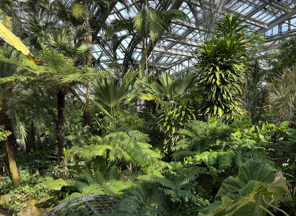 Interior of the Conservatory