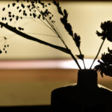 Wabi-Sabi: Finding Quiet Beauty in Everyday Life