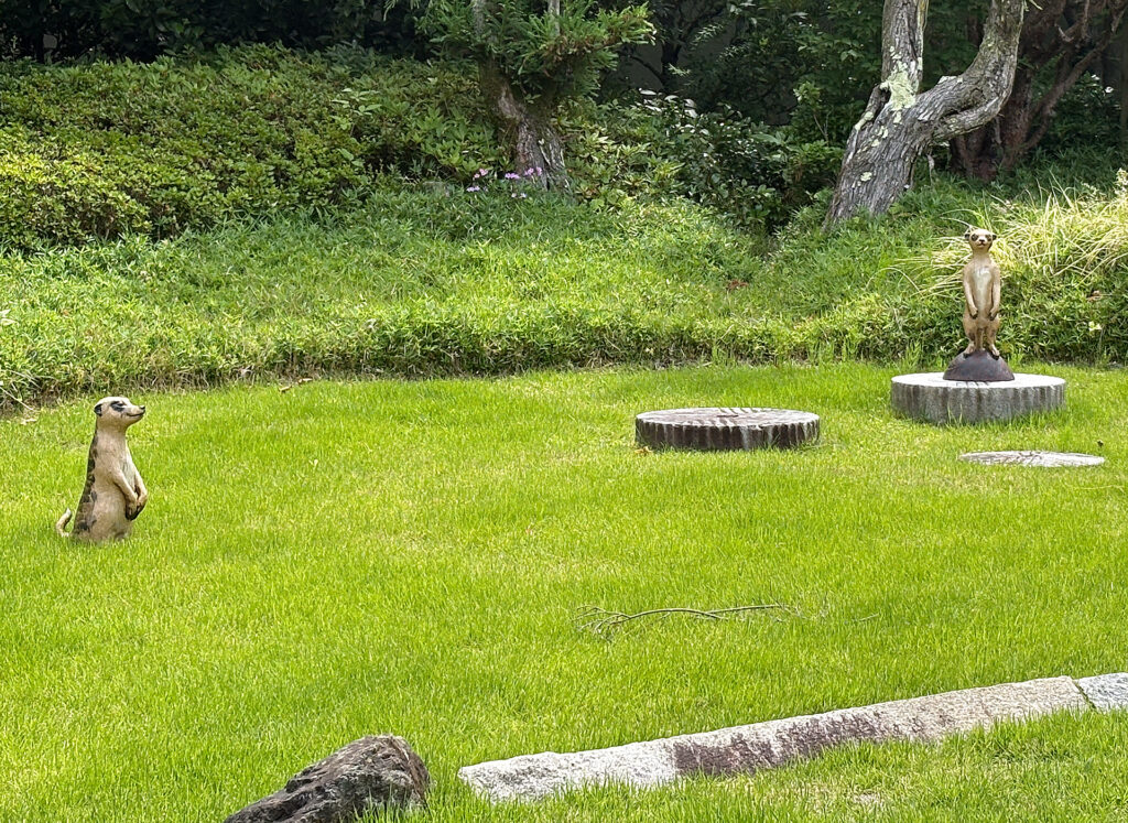Where Kyoto's Living Ceramics Find Their Perfect Stage: A Visit to the Imai Family Three-Generation Exhibition at ROKU KYOTO