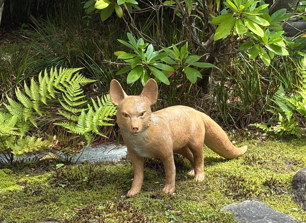Where Kyoto's Living Ceramics Find Their Perfect Stage: A Visit to the Imai Family Three-Generation Exhibition at ROKU KYOTO